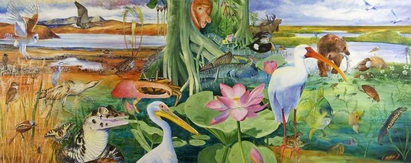 The Wildlife of the Wetlands